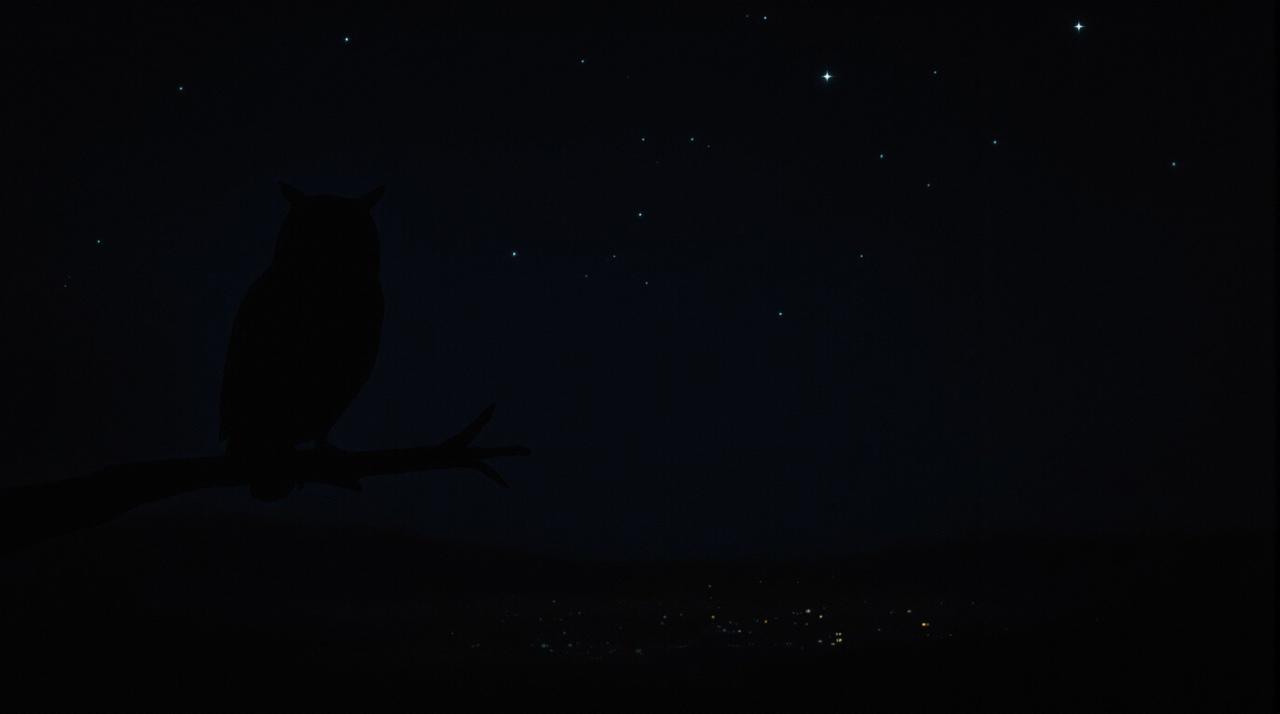 红牛影视 - 暗夜光影